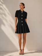 Button Front Pleated Fit and Flare Mini Dress