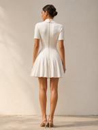 Button Front Pleated Fit and Flare Mini Dress