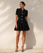 Button Front Pleated Fit and Flare Mini Dress