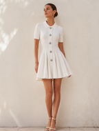 Button Front Pleated Fit and Flare Mini Dress