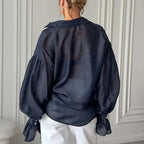 Long Sleeve Sheer Blouse
