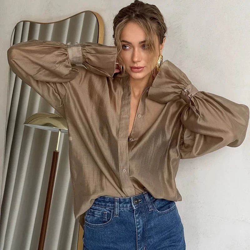 Long Sleeve Sheer Blouse
