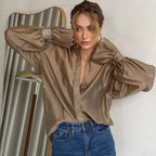 Long Sleeve Sheer Blouse